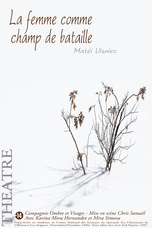 La femme comme champ de bataille